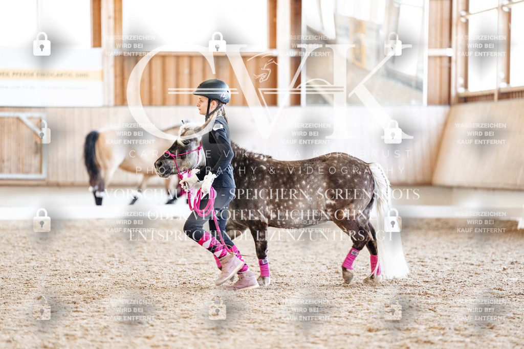 CK907068 | Turnierfotografie Pferdefotografie Trier Rheinland-Pfalz Pferdesport Reitsport Tierfotografie Sportfotografie Pferdevideo Pferdevideografie Equestrianvideography equestrianphotography  - Realisiert mit Pictrs.com