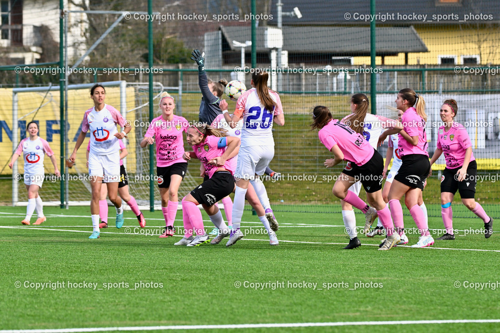 Carinthians LIWOdruck Hornets vs. Young Violets Austria Wien 17.3.2024 | #6 Yasmin Fellner Austria Wien, #27 Jasmin Michelle Ortner Carinthians LIWOdruck Hornets, #14 Nicole Dominique Gatternig Carinthians LIWOdruck Hornets, #1 Anja Meier Carinthians LIWOdruck Hornets, #26 Magdalena Vlajcic Austria Wien, #15 Marie Sophie Klocker Carinthians LIWOdruck Hornets, #24 Alicia Morgenstern Carinthians LIWOdruck Hornets, #6 Laura Elisabeth Santner Carinthians LIWOdruck Hornets, Carinthians LIWOdruck Hornets vs. Young Violets Austria Wien 17.3.2024, Carinthians LIWOdruck Hornets vs. Young Violets Austria Wien  am 17.03.2024 in Spittal an der Drau (Goldeck Stadion), Austria, (Photo by Bernd Stefan)