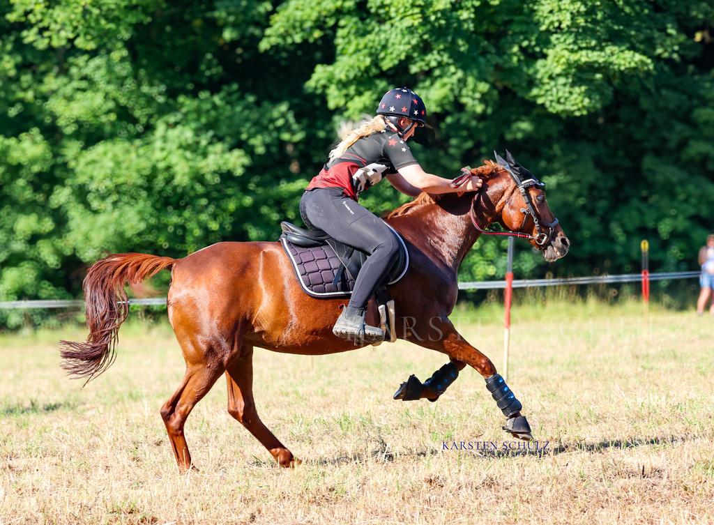 1B3A8442 | Reitsport Reiten