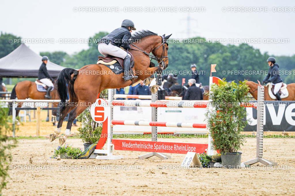 DSC07249 | Pferdegrafie