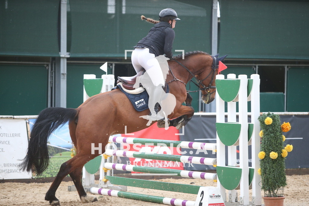 AS8V1673 | Willkommen bei Brunnmayr - Design & Fotografie – Ihrem Spezialisten für Reitturniere und Pferdeveranstaltungen in Oberösterreich, Salzburg und Bayern! Seit über 17 Jahren sind wir leidenschaftlich dabei.