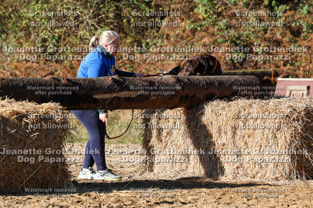 Dog Paparazzi - Strongdog 10-25-1660 | Dog Paparazzi Jeanette Grottendiek Fotografie & Videografie - Realisiert mit Pictrs.com