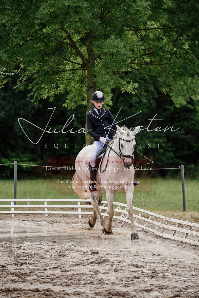 DSC_9419 | Pferde- und Turnierfotografie in Westsachsen. Pferdeportraits, Auftragszeichnungen und intuitive Kunst.