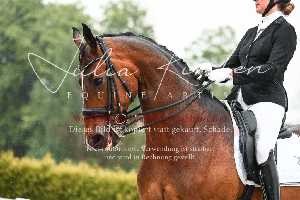 DSC_4579 | Pferde- und Turnierfotografie in Westsachsen. Pferdeportraits, Auftragszeichnungen und intuitive Kunst.