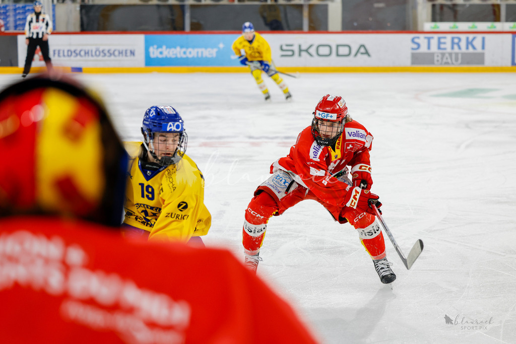 U21_EHCB vs HCD_wb20260308-0276 | Sportbilder, Sportfotograf, Hochzeits- und Eventfotografin, Flugshows, Portraits und Tiershooting, Aviation, Downhill, Nationalleague, Swissleague, International