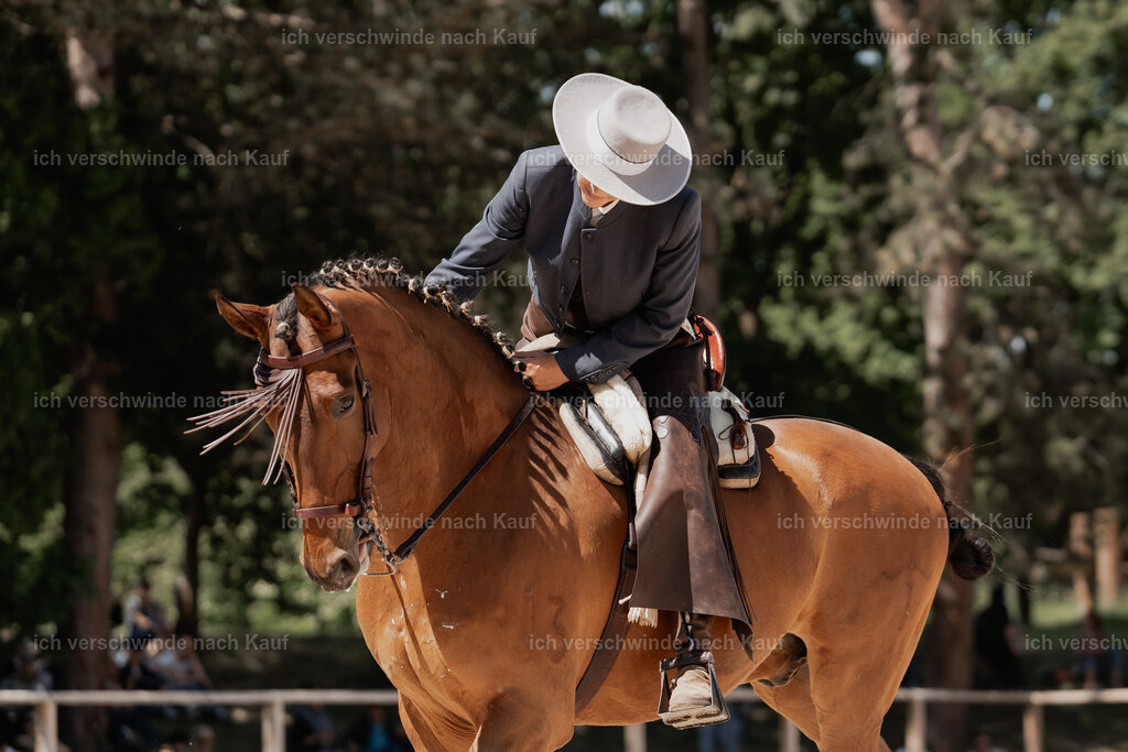 WE_ST_Stoib_313_PI2025_1302 | Pferd International München 2025