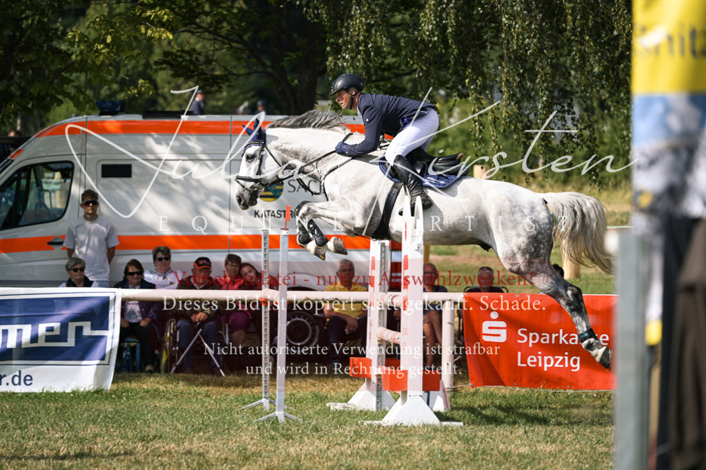 DSC_1015 | Pferde- und Turnierfotografie in Westsachsen. Pferdeportraits, Auftragszeichnungen und intuitive Kunst.