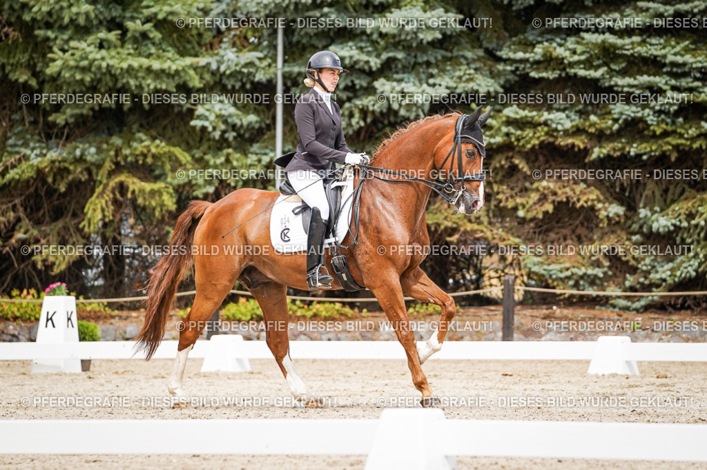 DSC05235 | Pferdegrafie