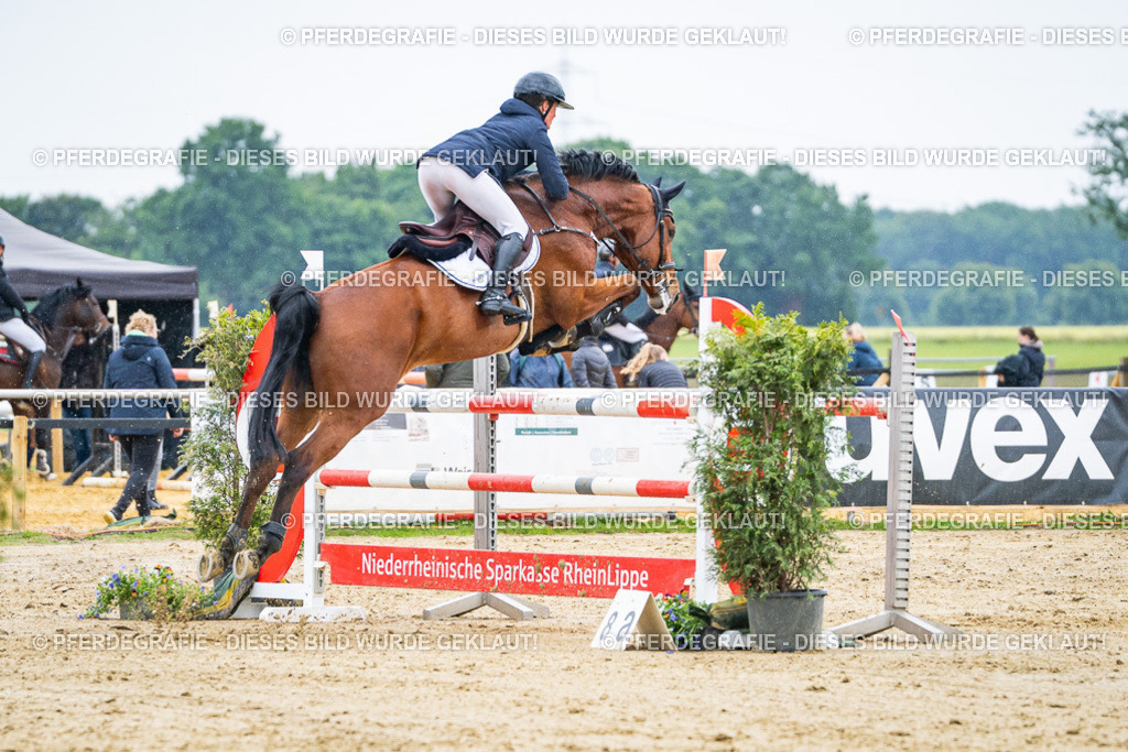 DSC09305 | Pferdegrafie