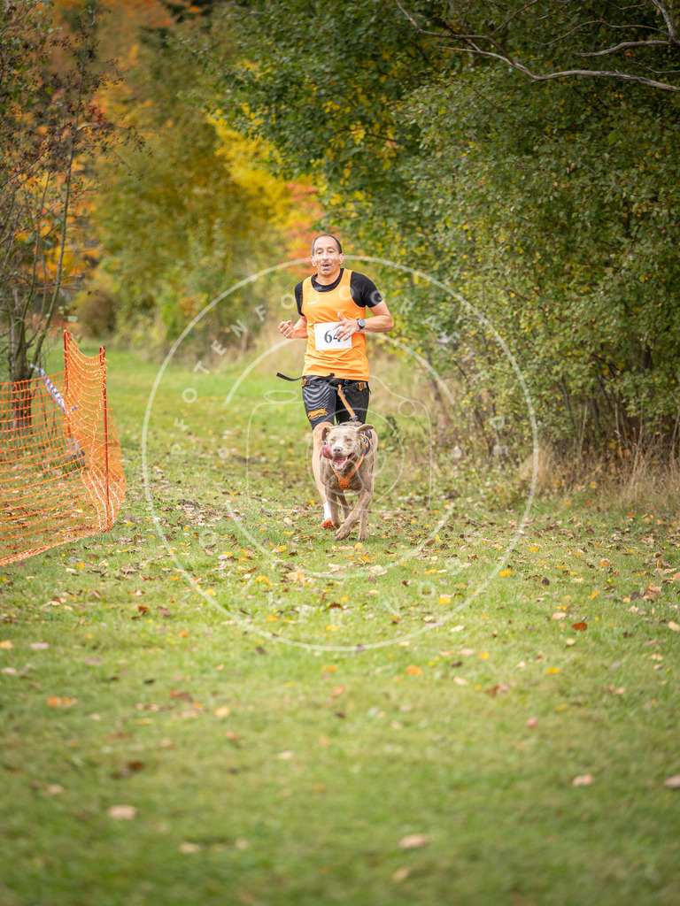 Pfotenfotografie_DV3A2725 | Hundefotografie, Tierfotograf, Pfotenfotografie, Fotoshooting Hund, Hunde Portrait, Hundesport, Hundeportraits, Heideshooting, Hunde, Sportfotograf, Hundefotograf, Turnierhundsport, THS,  - Realisiert mit Pictrs.com