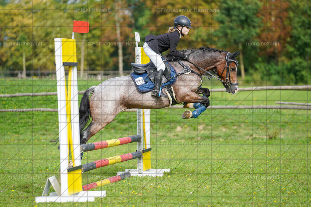 20230917-FAH09195 | Landsberg am Lech, 2023, Kaufbeuren, Kempten, Allgäu, Turnierfotografen Bayern, Fotoagentur Herrmann, Turnierbilder, Reitsport Fotos, Pferdefotograf, Augsburg, Bad Tölz, Dachau, Karlsfeld, Memmingen, Buchloe, Schwabmünchen