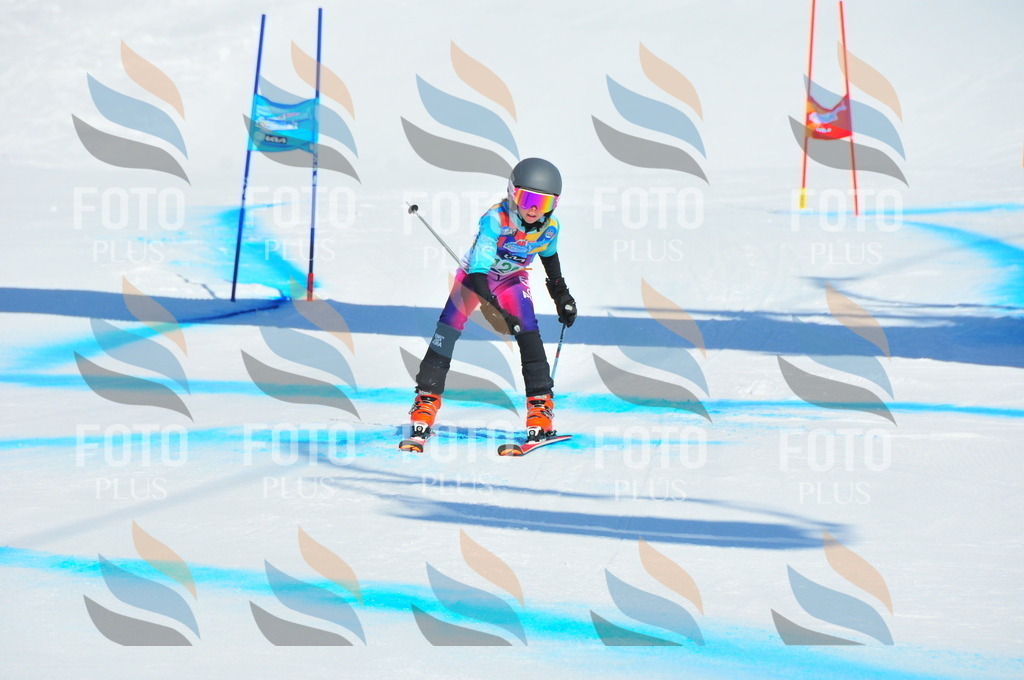 DSC_1000 | holidayphoto