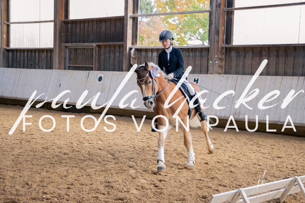 IMG_3306 | Erleben Sie dynamische Sport- und emotionale Tierfotografie in Süddeutschland mit Fotos von Paula. Spezialisiert auf Pferde- und Hundefotografie sowie Sportevents. Kontaktieren Sie mich für einzigartige und ausdrucksstarke Bilder Ihrer besonderen Momente. - Realisiert mit Pictrs.com