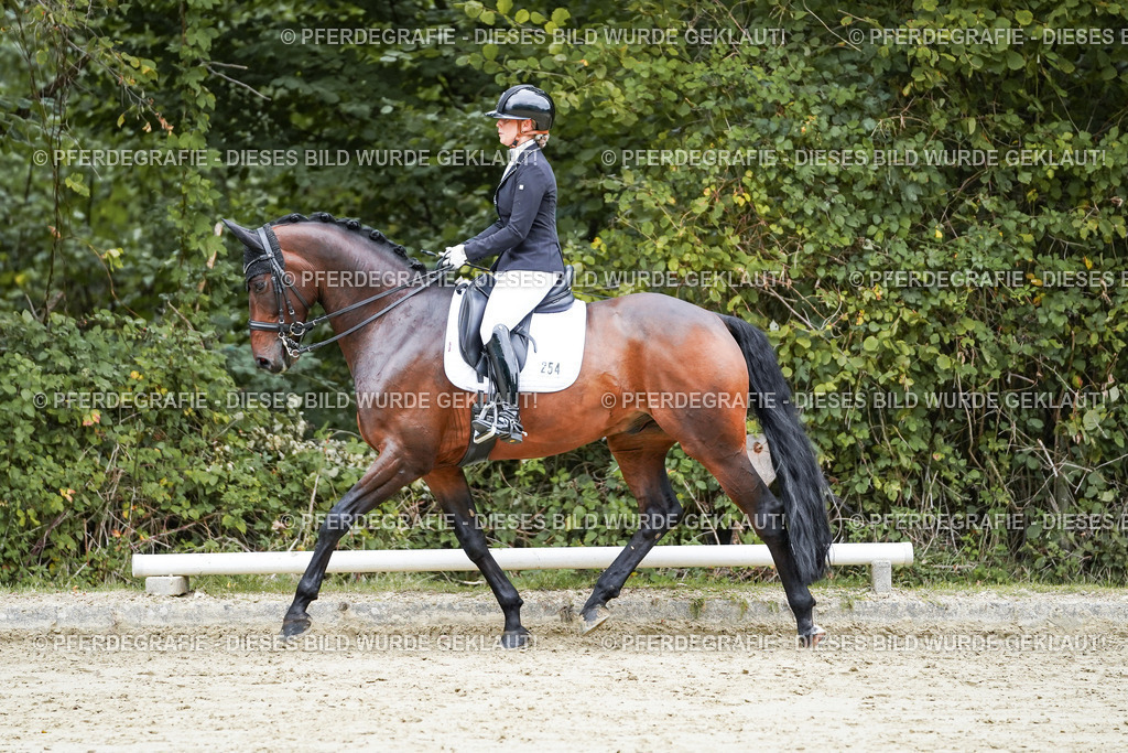 DSC09703 | Pferdegrafie