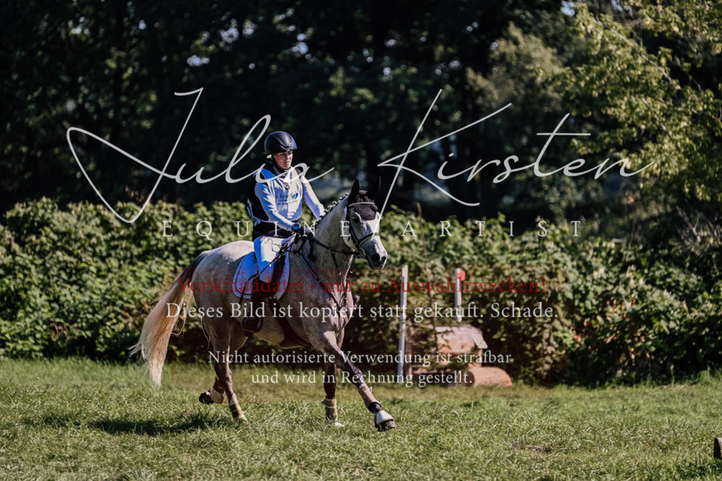 DSC_1419 | Pferde- und Turnierfotografie in Westsachsen. Pferdeportraits, Auftragszeichnungen und intuitive Kunst.