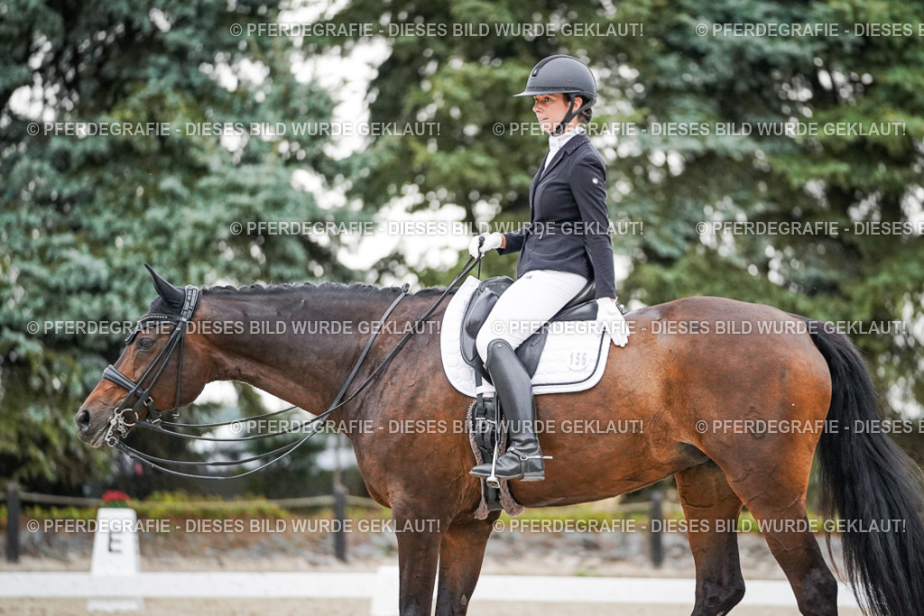 DSC09759 | Pferdegrafie