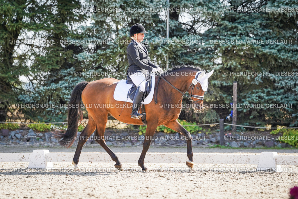 DSC00317 | Pferdegrafie