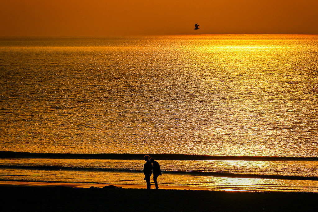 Goldener Moment der Zweisamkeit auf Texel | Ein tief orangerotes Glühen erfüllt den Abendhimmel über Texel, während die Sonne langsam am Horizont versinkt. Das ruhige Meer vor der holländischen Nordseeinsel verwandelt sich in ein funkelndes Meer aus flüssigem Gold. Am dunklen Strand spaziert ein Paar Hand in Hand, seine Silhouetten verschmelzen sanft mit der dramatischen Küstenkulisse. Die intime Geste strahlt tiefe Verbundenheit und ungestörte Ruhe aus. Ein einsamer Vogel im Flug rundet diese romantische Inselszene perfekt ab und hält die unvergessliche Magie eines Abendmoments am Meer fest. - Realisiert mit Pictrs.com