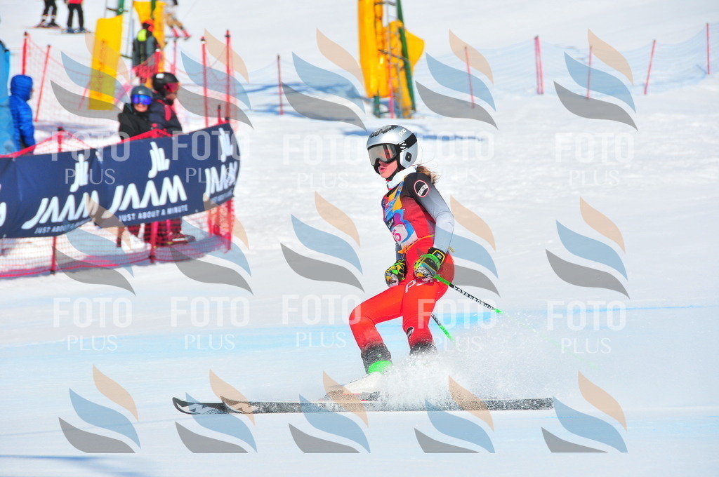 DSC_4346 | holidayphoto