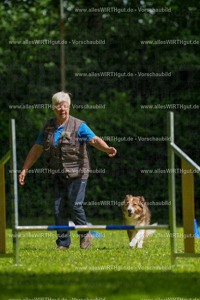 @allesWIRTHgut_Tierfotografie - www.allesWIRTHgut.de - 100531-7R508010 | Professionelle Tierfotografie in Mönchengladbach von Daniel Wirth (allesWIRTHgut). Liebevolle & natürliche Bilder von Hunden & Katzen für unvergessliche Erinnerungen.