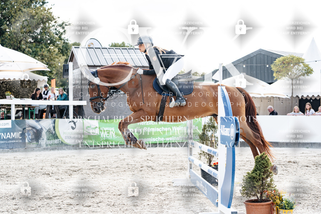 CK903190 | Turnierfotografie Pferdefotografie Trier Rheinland-Pfalz Pferdesport Reitsport Tierfotografie Sportfotografie Pferdevideo Pferdevideografie Equestrianvideography equestrianphotography  - Realisiert mit Pictrs.com
