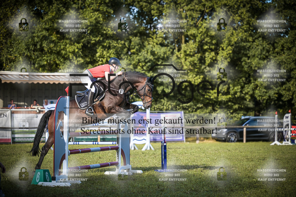 DOS_0949 | Entdecke hochwertige Reitturnierfotos von Foto Oger. Professionell, emotional und authentisch – jetzt Lieblingsmomente im Shop bestellen.Deutschlandweite Turnierfotografie. - Realisiert mit Pictrs.com