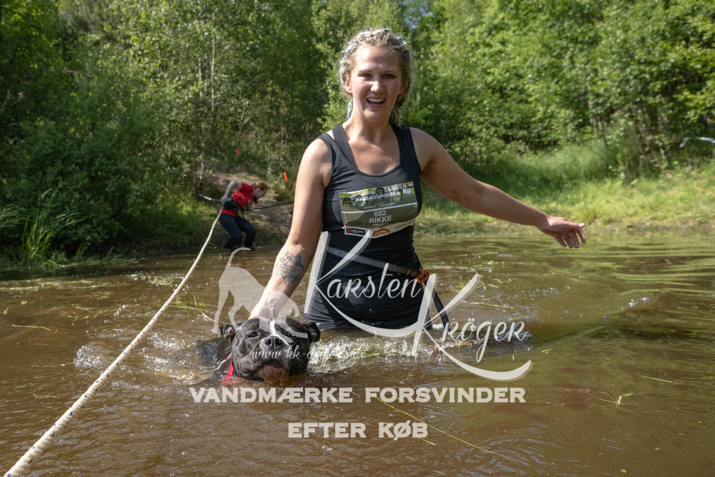 1538DKK991563 | kk-dogfotos