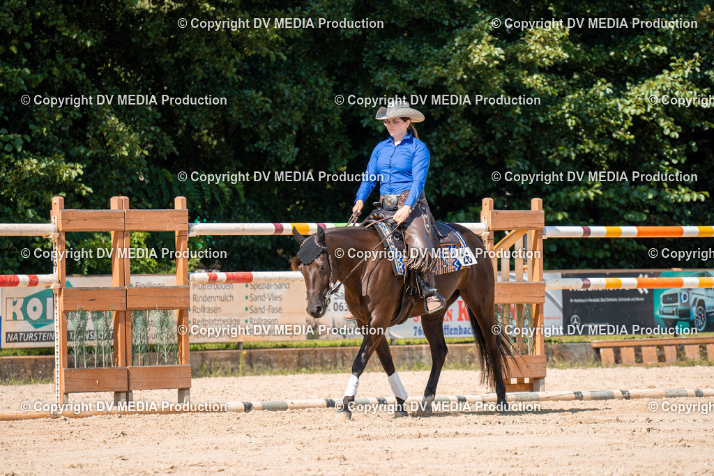 ZH100272 | dv-media-shop - Realisiert mit Pictrs.com