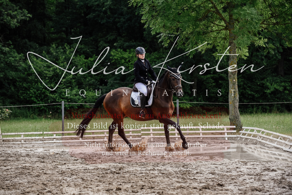 DSC_0799 | Pferde- und Turnierfotografie in Westsachsen. Pferdeportraits, Auftragszeichnungen und intuitive Kunst.
