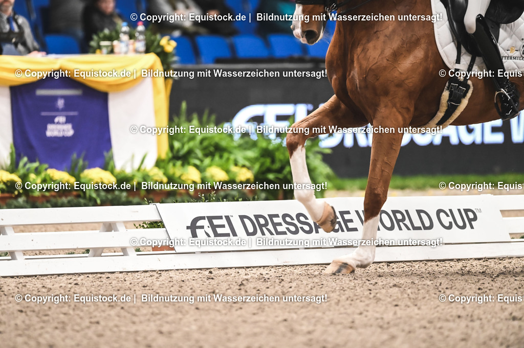 20231117_Impressionen_0142_TOMsPiC | Foto: Thomas Hartig