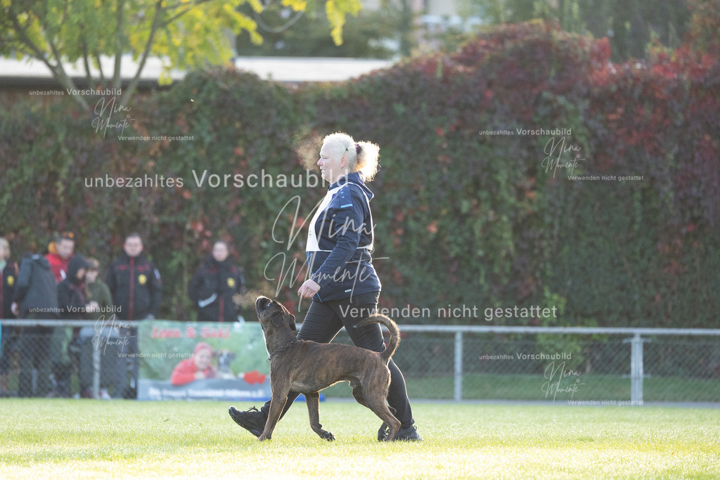 _16A5938 | Einzigartige Fotos von Hunden & Menschen –Actionfotos, Portraits, Vereinsaufnahmen & Paarshootings – authentisch, lebendig & mit Herz.