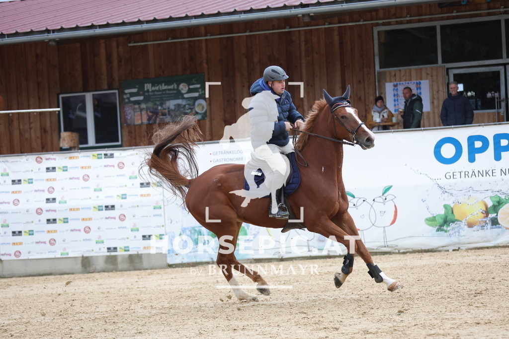 0P6A7118 | Willkommen bei Brunnmayr - Design & Fotografie – Ihrem Spezialisten für Reitturniere und Pferdeveranstaltungen in Oberösterreich, Salzburg und Bayern! Seit über 17 Jahren sind wir leidenschaftlich dabei.