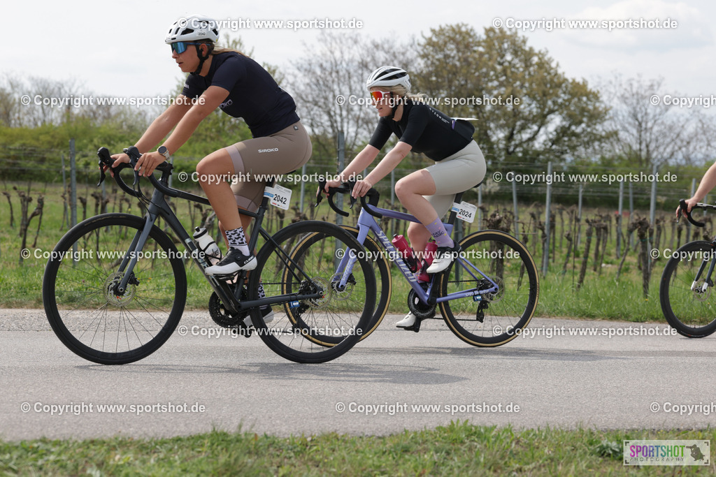 368A4827 | Neusiedlersee Radmarathon 2026@sportshot_your_pictrs #yourpictures#roadtowm2029 #nrm #neusiedlerseeradmarathon #neusiedlersee #neusiedlerseetourismus #burgenland #mörbisch #nrm26 #burgenlandtourismus #voglundco #poweredbyburgenlandtourismus #radsport #rad #marathon #ucigranfondo #visitburgenland #ucigranfondoworldseries