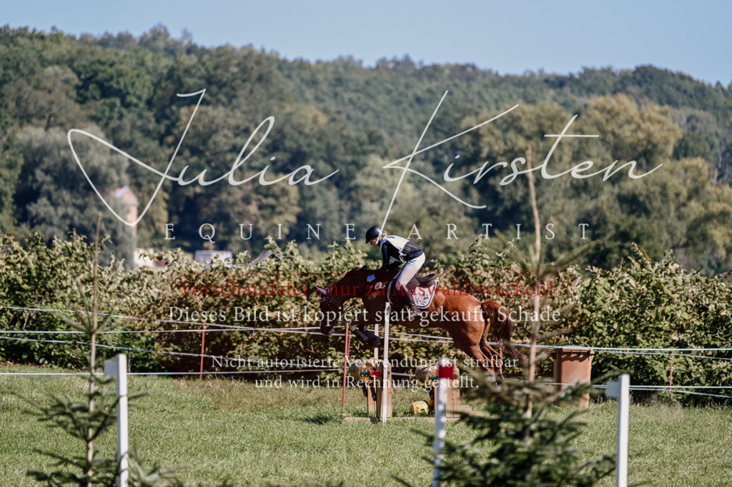 DSC_1653 | Pferde- und Turnierfotografie in Westsachsen. Pferdeportraits, Auftragszeichnungen und intuitive Kunst.