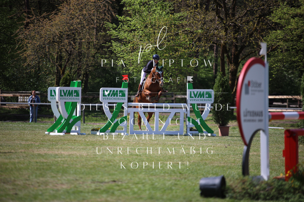 IMGT1033 | pl-fotografie