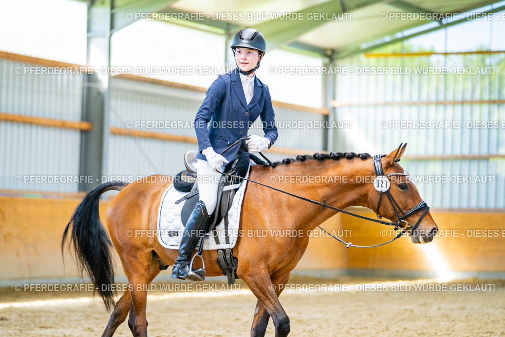 DSC08003 | Pferdegrafie