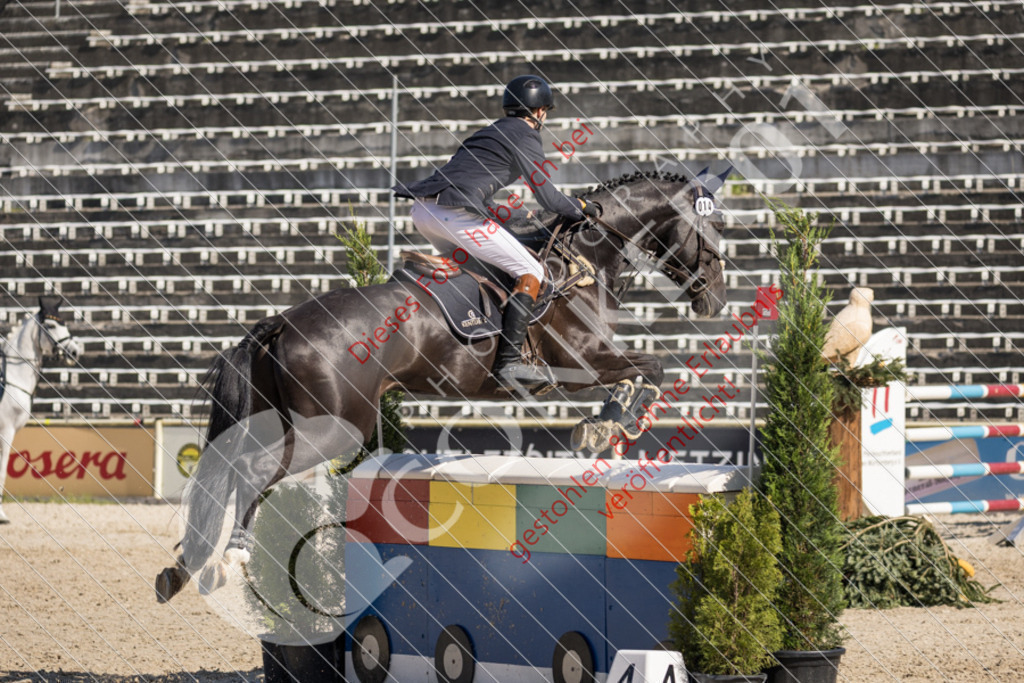 IMG_3833 | Sport-, Event- und Tierfotos in Profiqualität. Einfach auswählen, bestellen und herunterladen. Dein Moment – perfekt festgehalten.