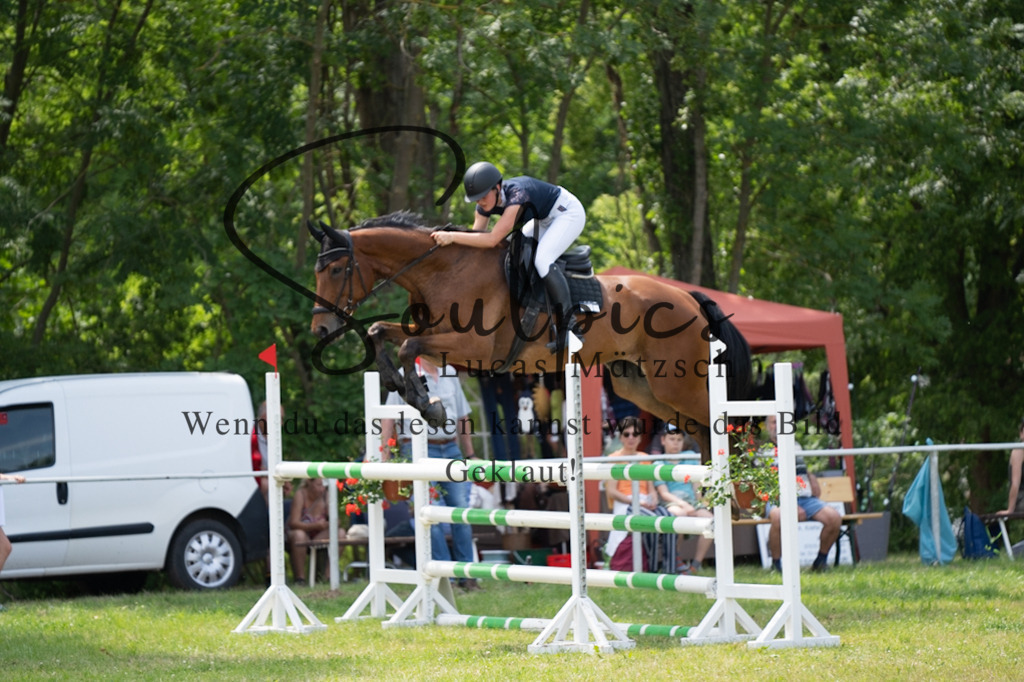 A7V07290 | Pferdefotograf