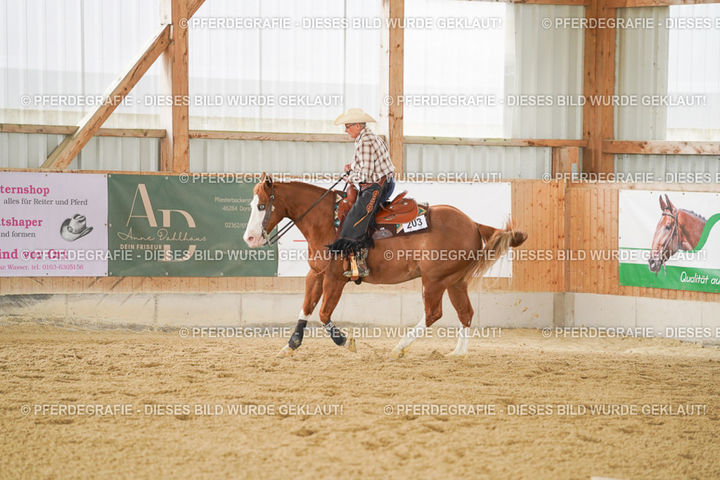 DSC04096 | Pferdegrafie