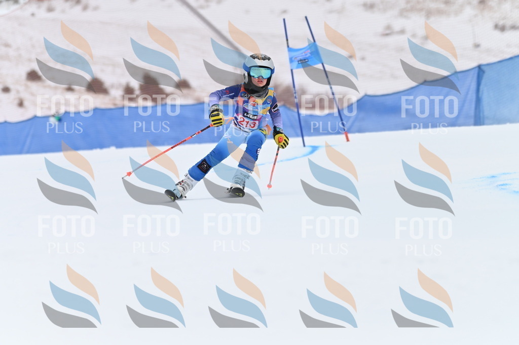 BGV_2604 | holidayphoto