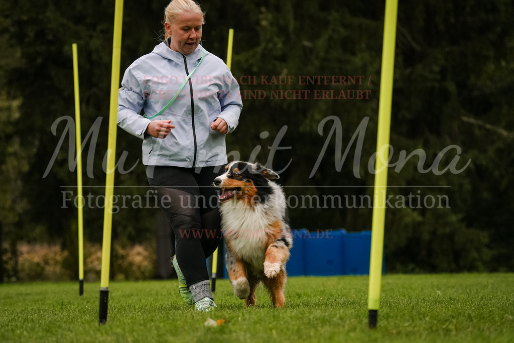 20251005_THS_Turnier-500 | MuT (Mensch und Tier) mit Mona - Fotografie und Tierkommunikation - Realisiert mit Pictrs.com