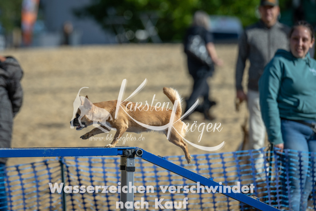 1103_ZZ90154 | kk-dogfotos