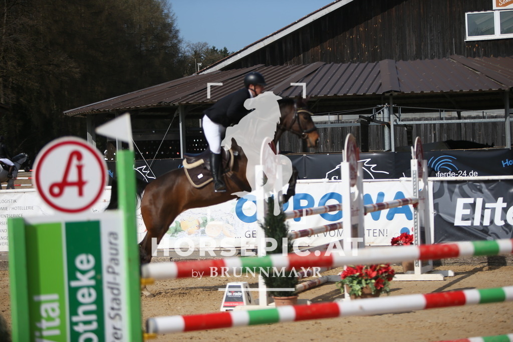 AS8V5921 | Willkommen bei Brunnmayr - Design & Fotografie – Ihrem Spezialisten für Reitturniere und Pferdeveranstaltungen in Oberösterreich, Salzburg und Bayern! Seit über 17 Jahren sind wir leidenschaftlich dabei.