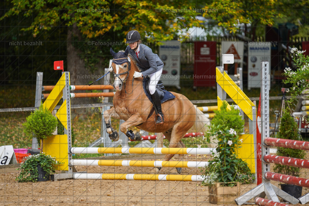 20221009-FAH08581 | Diessen am Ammersee, 2022, Dressur- und Springturnier, Reitsportbilder, Turnierfotografen Bayern, Pferdefotografen, Fotoagentur Herrmann, Turnierbilder