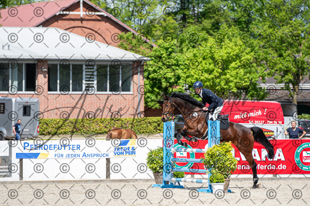 KPT_5304 | andre_photographic