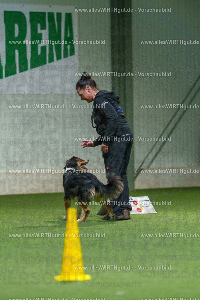 7R506940 | Professionelle Tierfotografie in Mönchengladbach von Daniel Wirth (allesWIRTHgut). Liebevolle & natürliche Bilder von Hunden & Katzen für unvergessliche Erinnerungen.