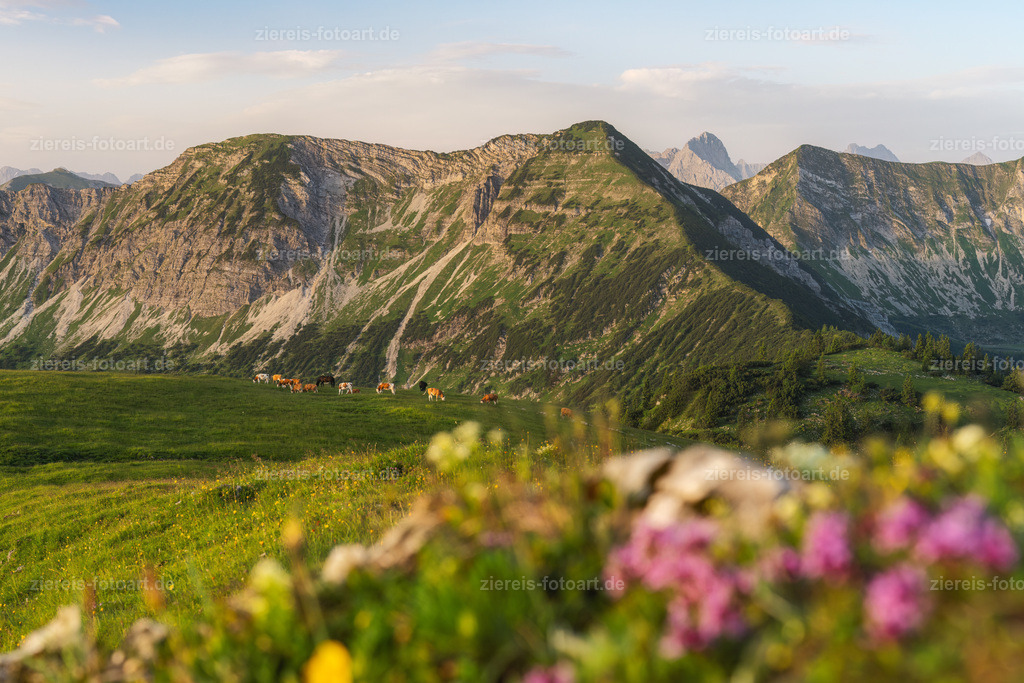 Alpenlandschaft im Morgenlicht | Alpenlandschaft im Morgenlicht - Realisiert mit Pictrs.com