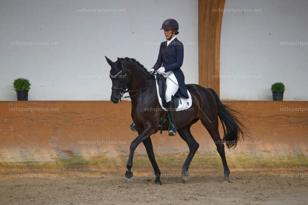 JHE_6533 | JoYa Fotografie - Realisiert mit Pictrs.com