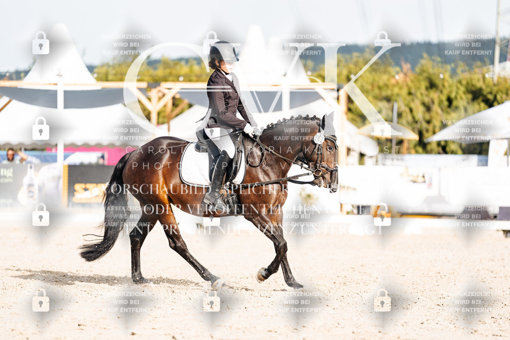 CK904559 | Turnierfotografie Pferdefotografie Trier Rheinland-Pfalz Pferdesport Reitsport Tierfotografie Sportfotografie Pferdevideo Pferdevideografie Equestrianvideography equestrianphotography  - Realisiert mit Pictrs.com
