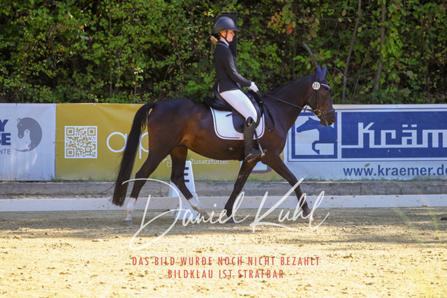 DKP41772 | Turniersportfotografie; Pferdefotografie; Dressurfotografie